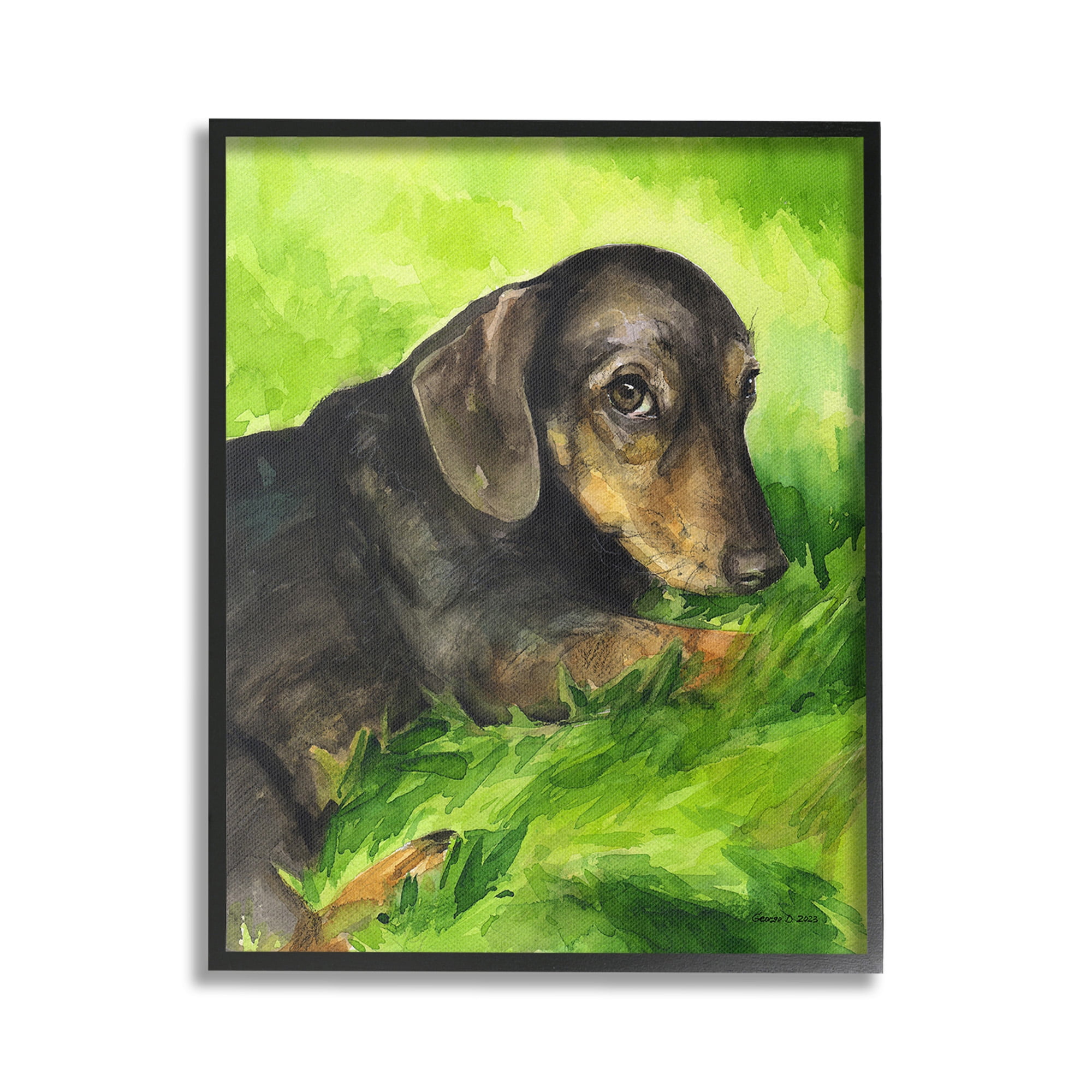 Stupell Industries Dachshund Relaxing in Grass Animals & Insects Painting Black Framed Art Print Wall Art, 16 x 20