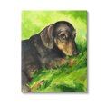 thumbnail image 1 of Stupell Industries Dachshund Relaxing in Grass Animals & Insects Painting Gallery Wrapped Canvas Art Print Wall Art, 24 x 30, 1 of 8