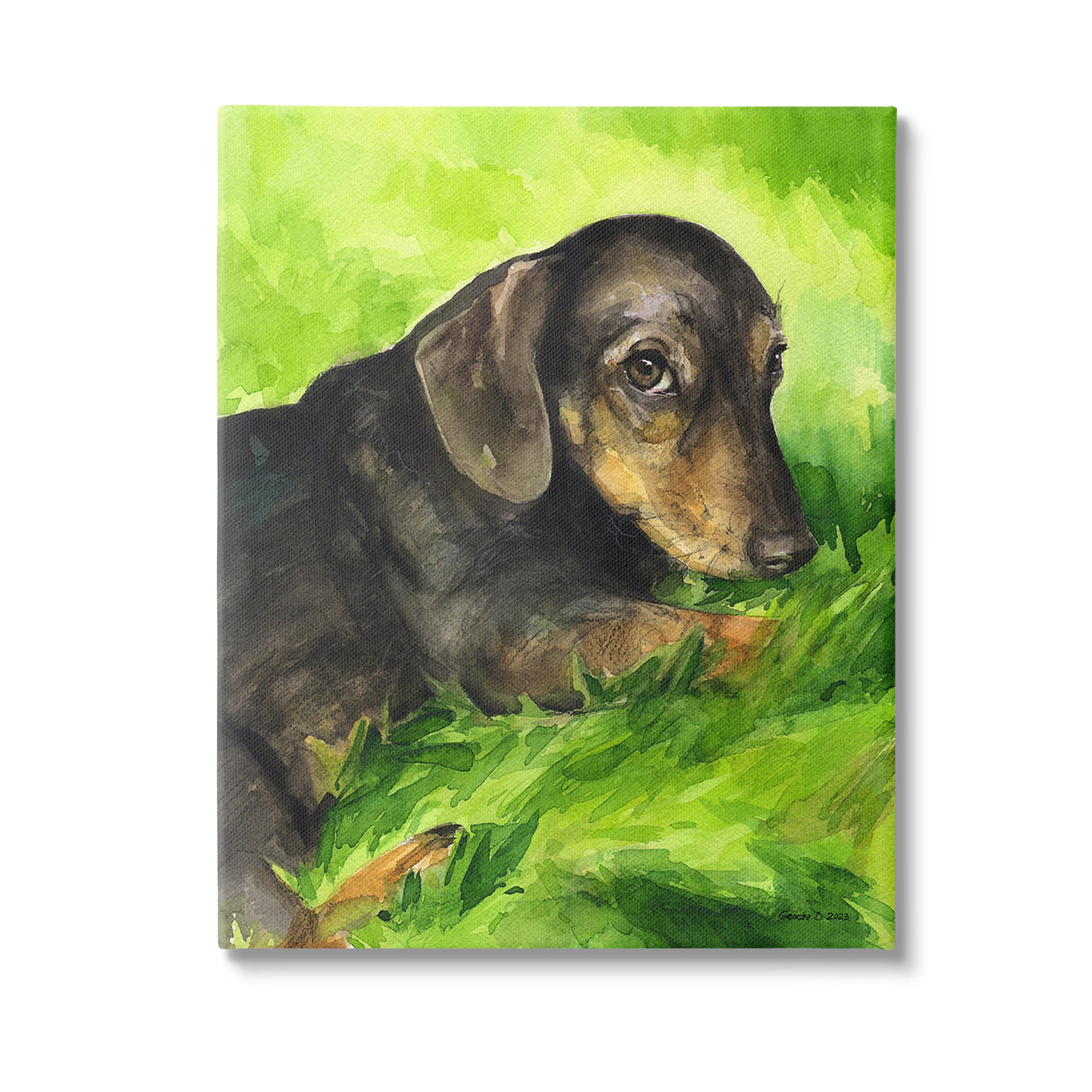 Stupell Industries Dachshund Relaxing in Grass Animals & Insects Painting Gallery Wrapped Canvas Art Print Wall Art, 30 x 40