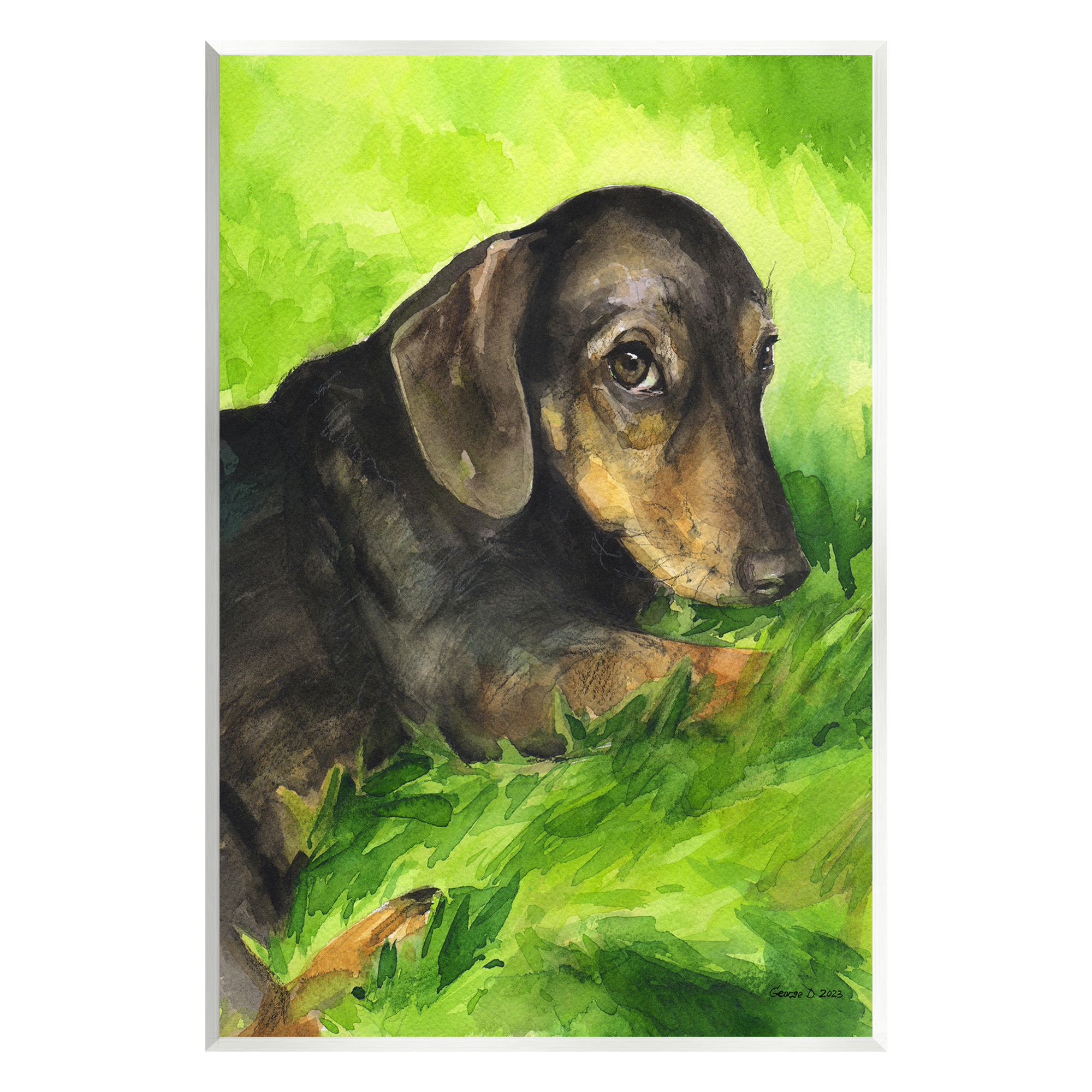 Stupell Industries Dachshund Relaxing in Grass Animals & Insects Painting Unframed Art Print Wall Art, 13 x 19