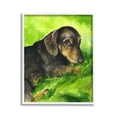 thumbnail image 1 of Stupell Industries Dachshund Relaxing in Grass Animals & Insects Painting White Framed Art Print Wall Art, 11 x 14, 1 of 9