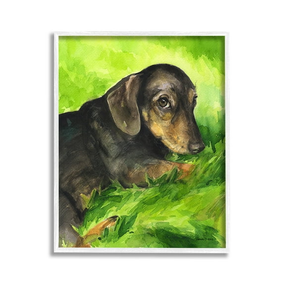 Stupell Industries Dachshund Relaxing in Grass Animals & Insects Painting White Framed Art Print Wall Art, 11 x 14