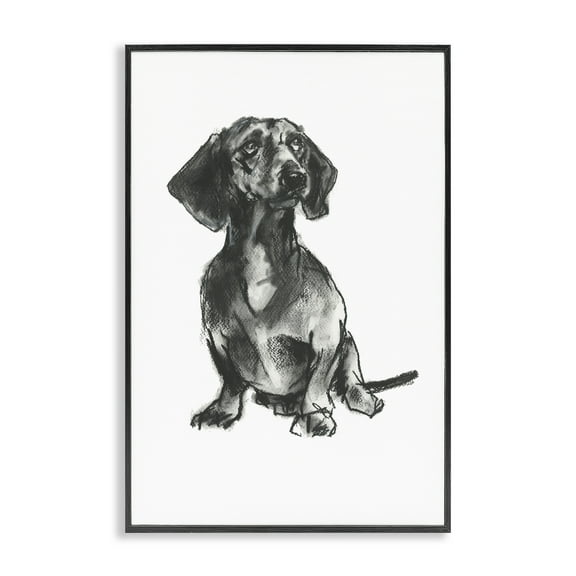 Stupell Industries Dachshund Sitting Drawing Animals & Insects Drawing Black Framed Art Print Wall Art, 12 x 18