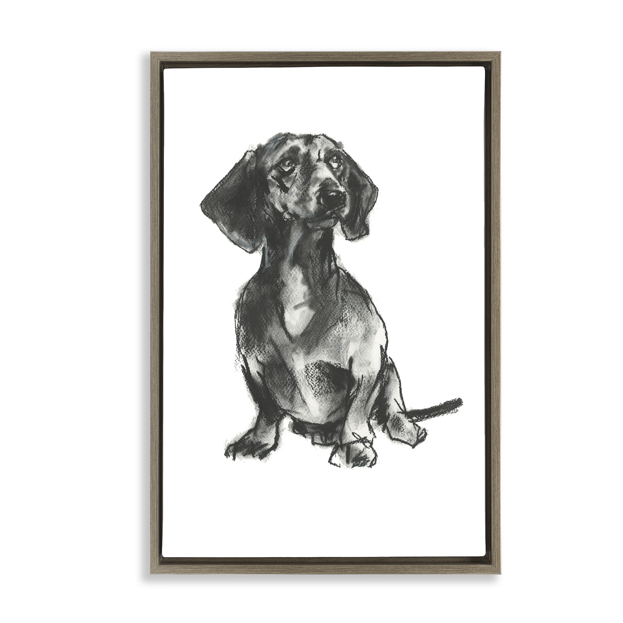 Stupell Industries Dachshund Sitting Drawing Animals & Insects Drawing Brown Floater Framed Canvas Art Print Wall Art, 21 x 31