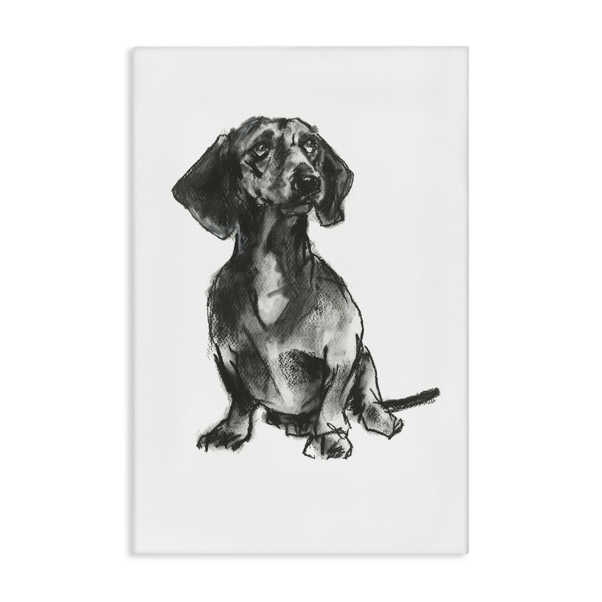 Stupell Industries Dachshund Sitting Drawing Animals & Insects Drawing Gallery Wrapped Canvas Art Print Wall Art, 20 x 30