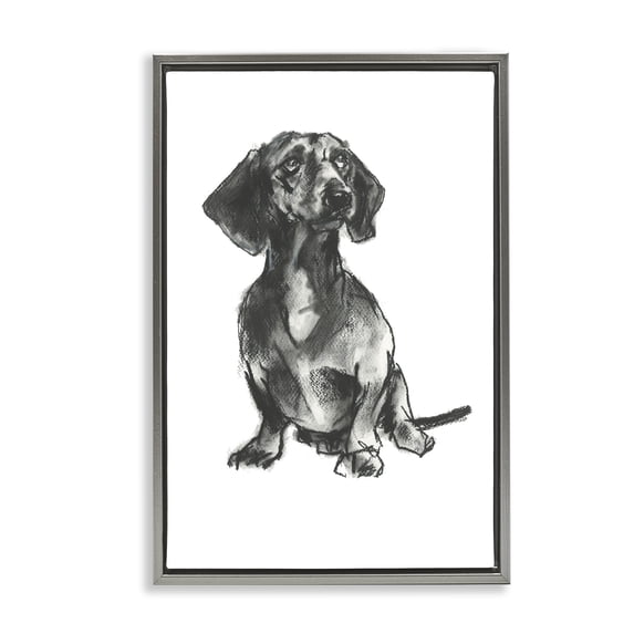 Stupell Industries Transitional Dachshund Sitting Drawing Gray Floating Frame Canvas Art, 17 x 25, by cartissi