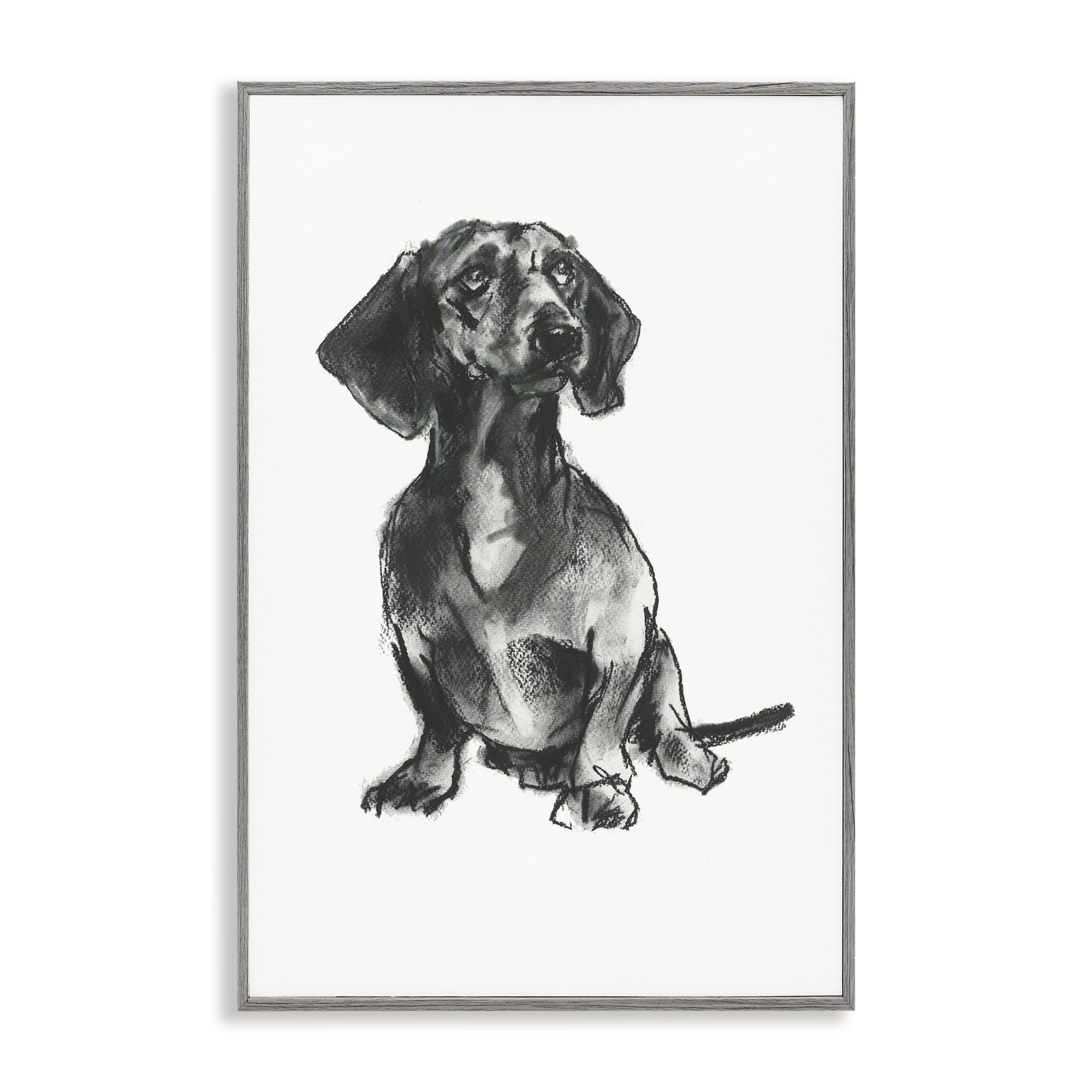 Stupell Industries Dachshund Sitting Drawing Animals & Insects Drawing Gray Framed Art Print Wall Art, 12 x 18