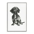 thumbnail image 1 of Stupell Industries Dachshund Sitting Drawing Animals & Insects Drawing Gray Framed Art Print Wall Art, 16 x 24, 1 of 10