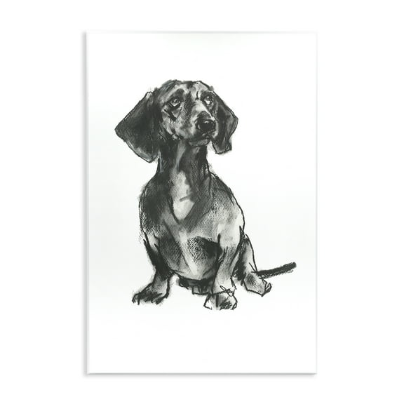 Stupell Industries Dachshund Sitting Drawing Animals & Insects Drawing Unframed Art Print Wall Art, 10 x 15