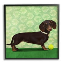 Stupell Industries Dachshund & Tennis Ball Animals & Insects Painting Black Framed Art Print Wall Art, 12 x 12