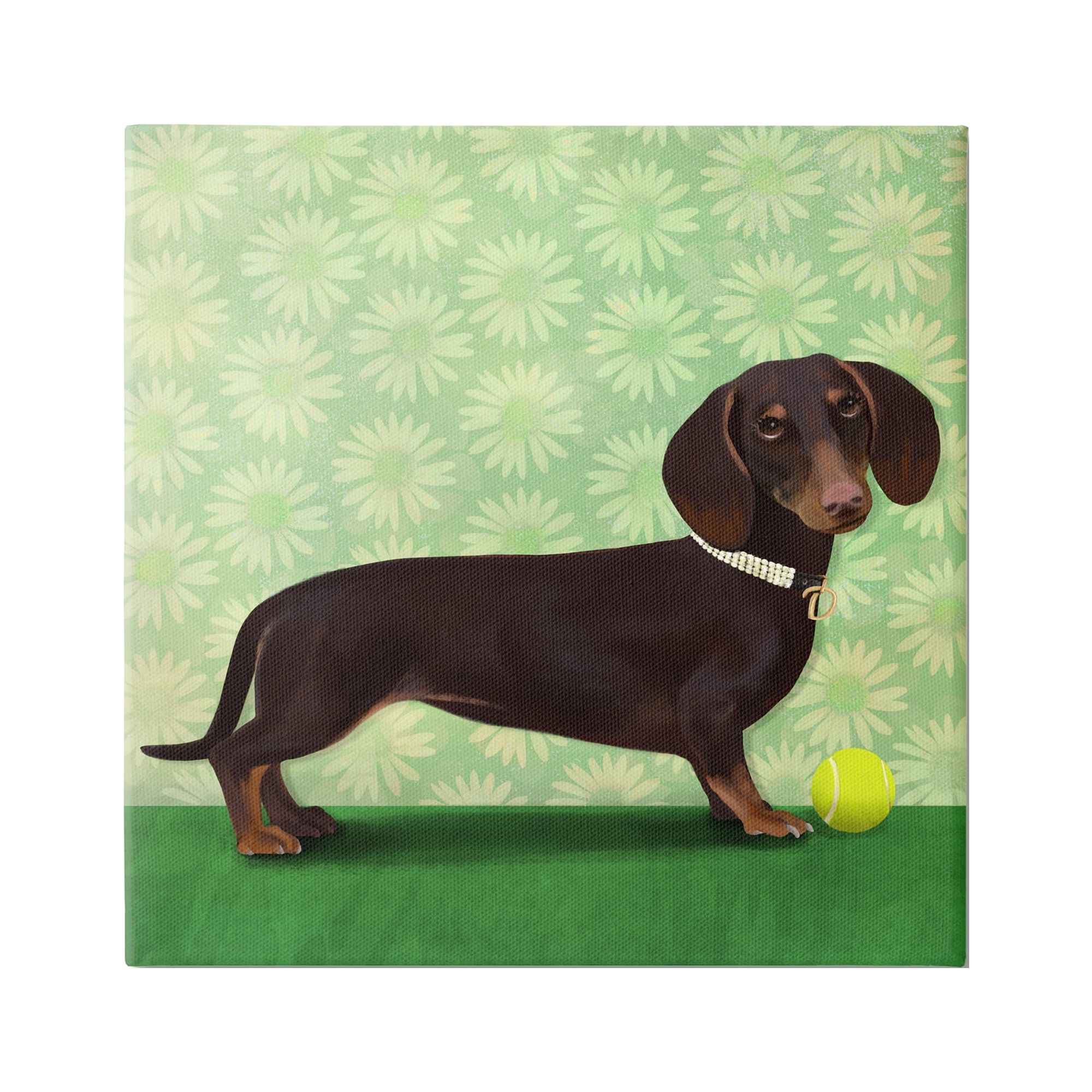 Stupell Industries Dachshund & Tennis Ball Animals & Insects Painting Gallery Wrapped Canvas Print Wall Art, 30 x 30