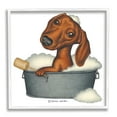 thumbnail image 1 of Stupell Industries Dachshund in Tin Tub Bubble Bath Country Pet, 24 x 24, Design by Danny Gordan, 1 of 7