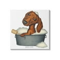 thumbnail image 1 of Stupell Industries Dachshund in Tin Tub Bubble Bath Country Pet, 24 x 24, Design by Danny Gordan, 1 of 6