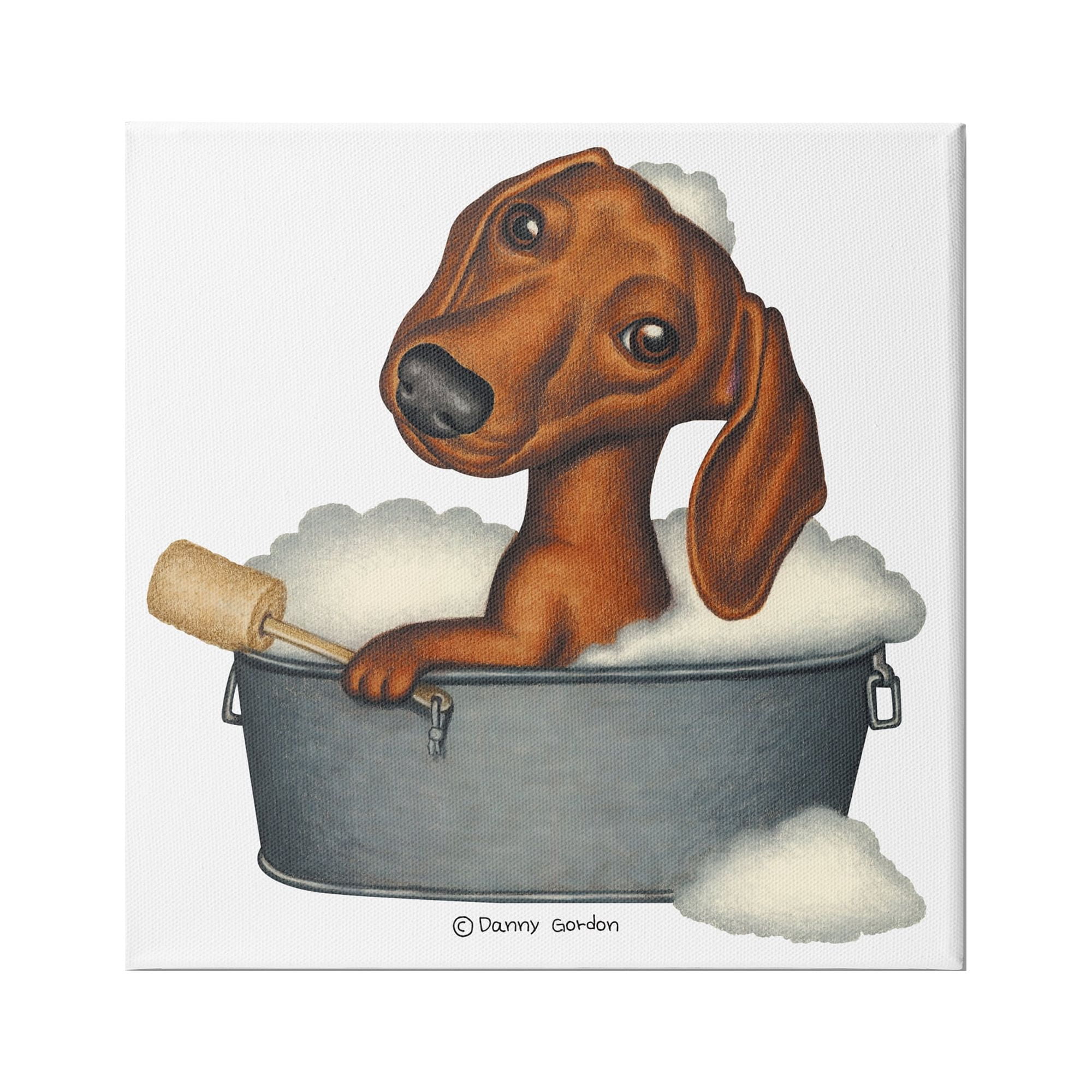 Stupell Industries Dachshund in Tin Tub Bubble Bath Country Pet, 36 x 36, Design by Danny Gordan