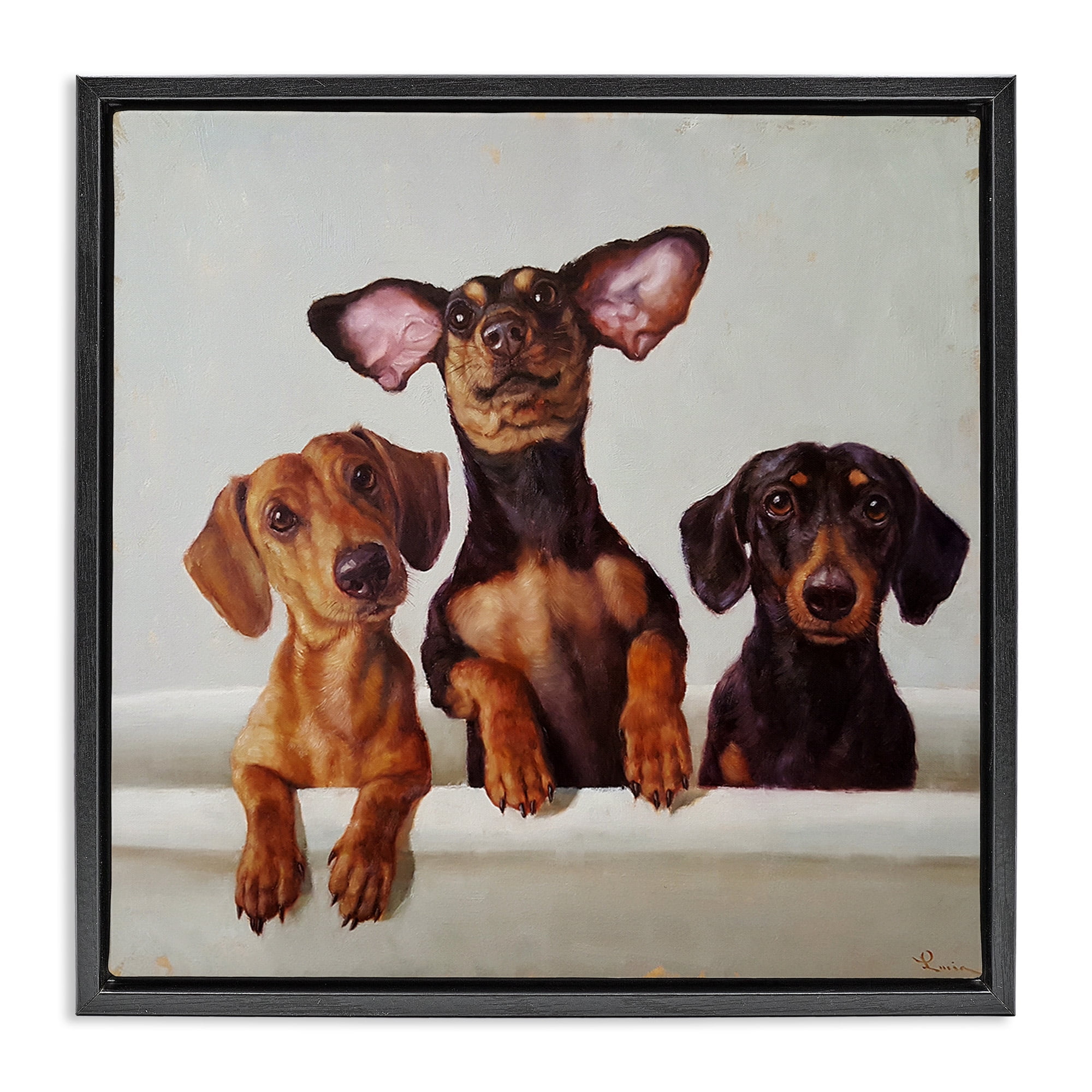 Stupell Industries Dachshunds in Bathtub Animals & Insects Painting Black Floater Framed Canvas Art Print Wall Art, 18 x 18