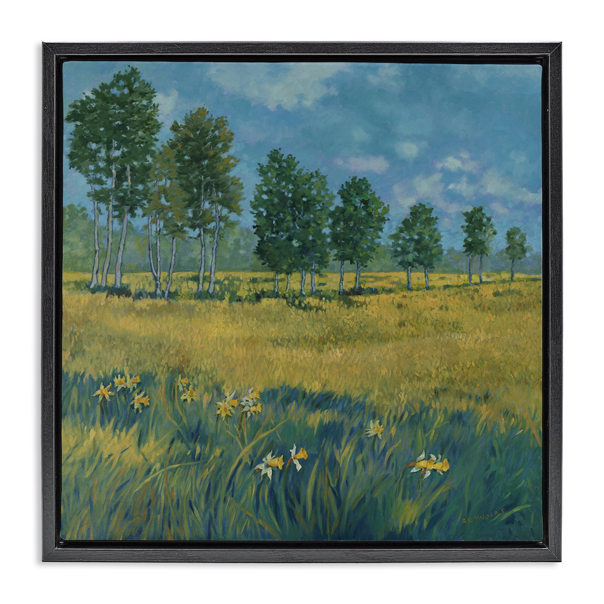 Stupell Industries Daffodil Field Landscape Landscape & Nature Painting Black Floater Framed Canvas Art Print Wall Art, 18 x 18