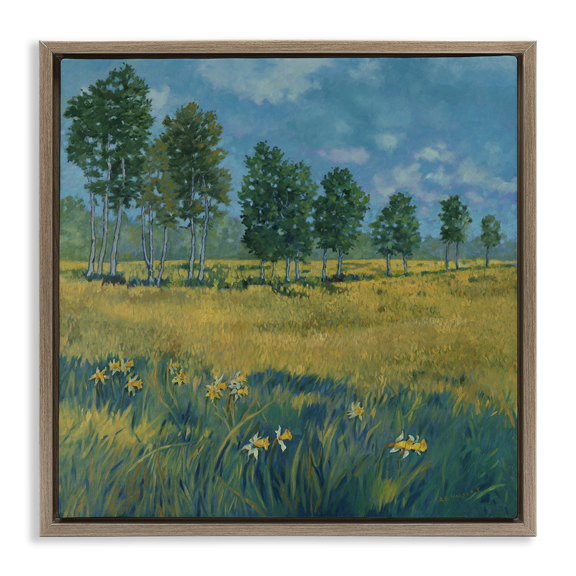 Stupell Industries Daffodil Field Landscape Landscape & Nature Painting Brown Floater Framed Canvas Art Print Wall Art, 18 x 18
