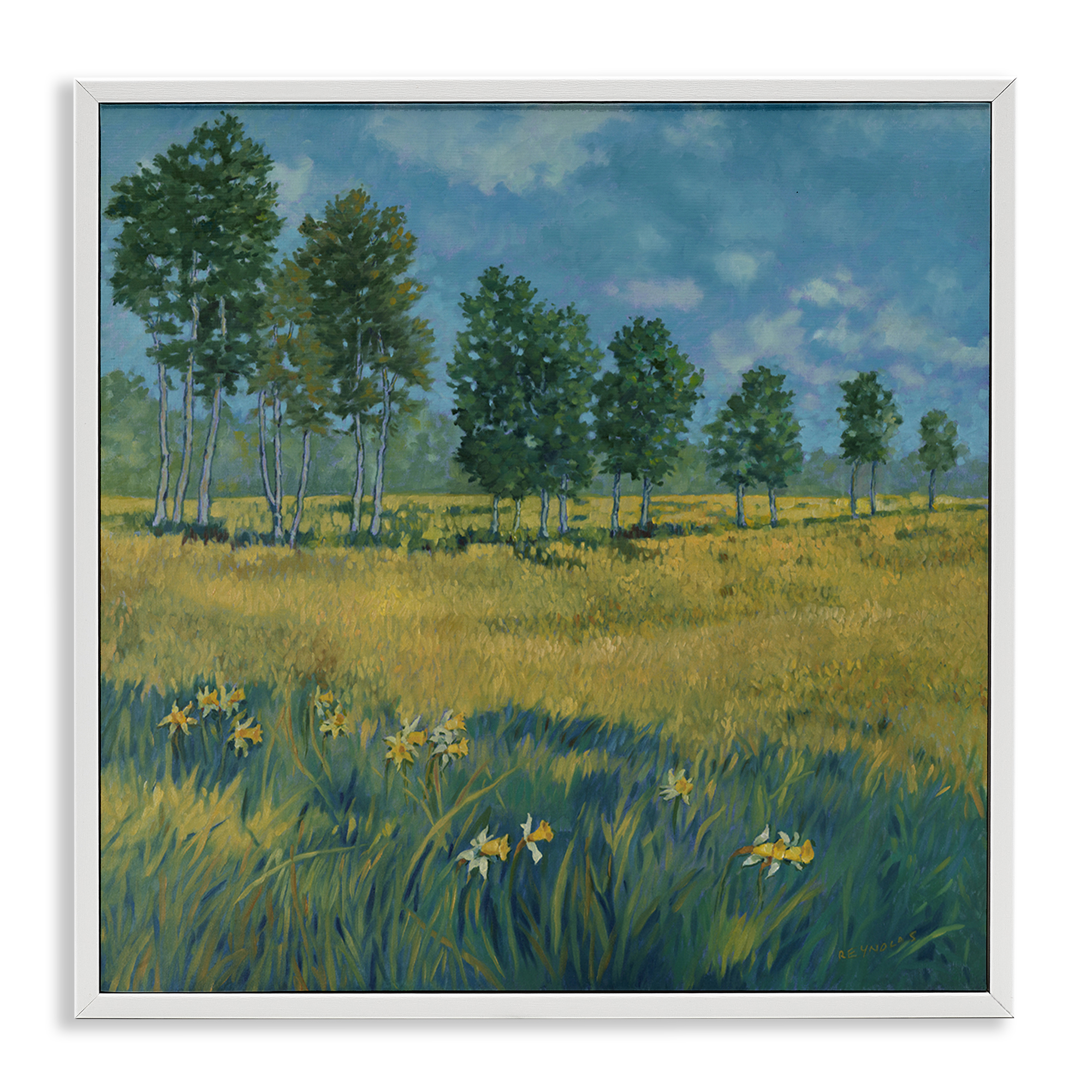 Stupell Industries Daffodil Field Landscape Landscape & Nature Painting White Framed Art Print Wall Art, 12 x 12