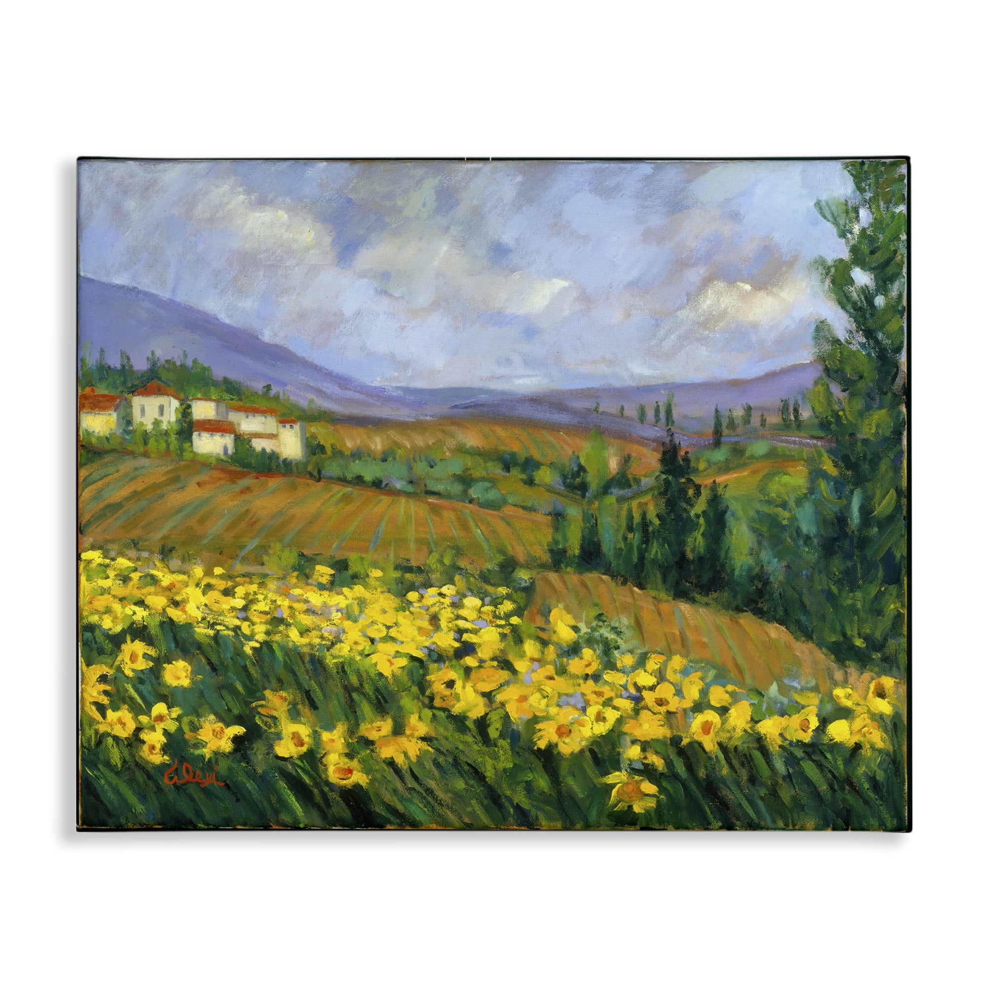 Stupell Industries Daffodil Field by Farm Landscape & Nature Painting Wrapped Canvas Art Print Wall Art, 48 x 36