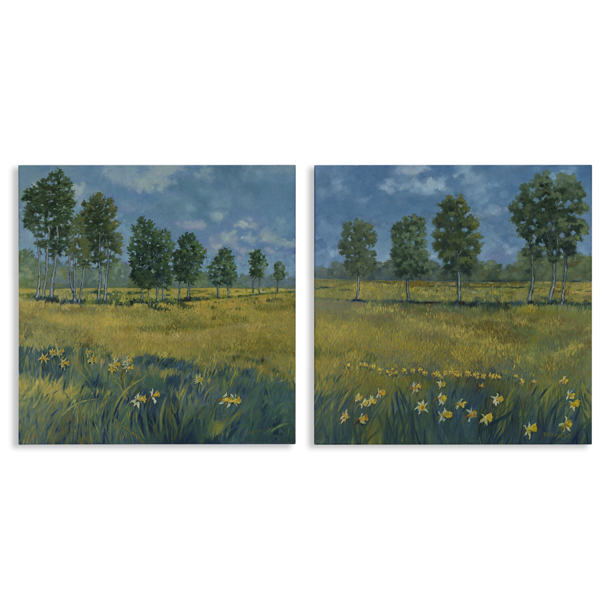 Stupell Industries Daffodil Tree Lined Field Landscape & Nature Painting Wrapped Canvas Art Print Wall Art, 17 x 17, Set of 2