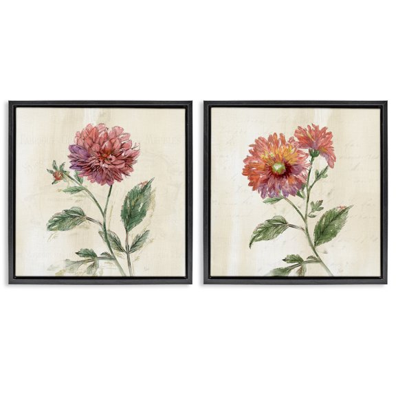 Stupell Industries Dahlia & Mum Sprouts Floral Painting Black Floater Framed Canvas Art Print Wall Art, 18 x 18, Set of 2