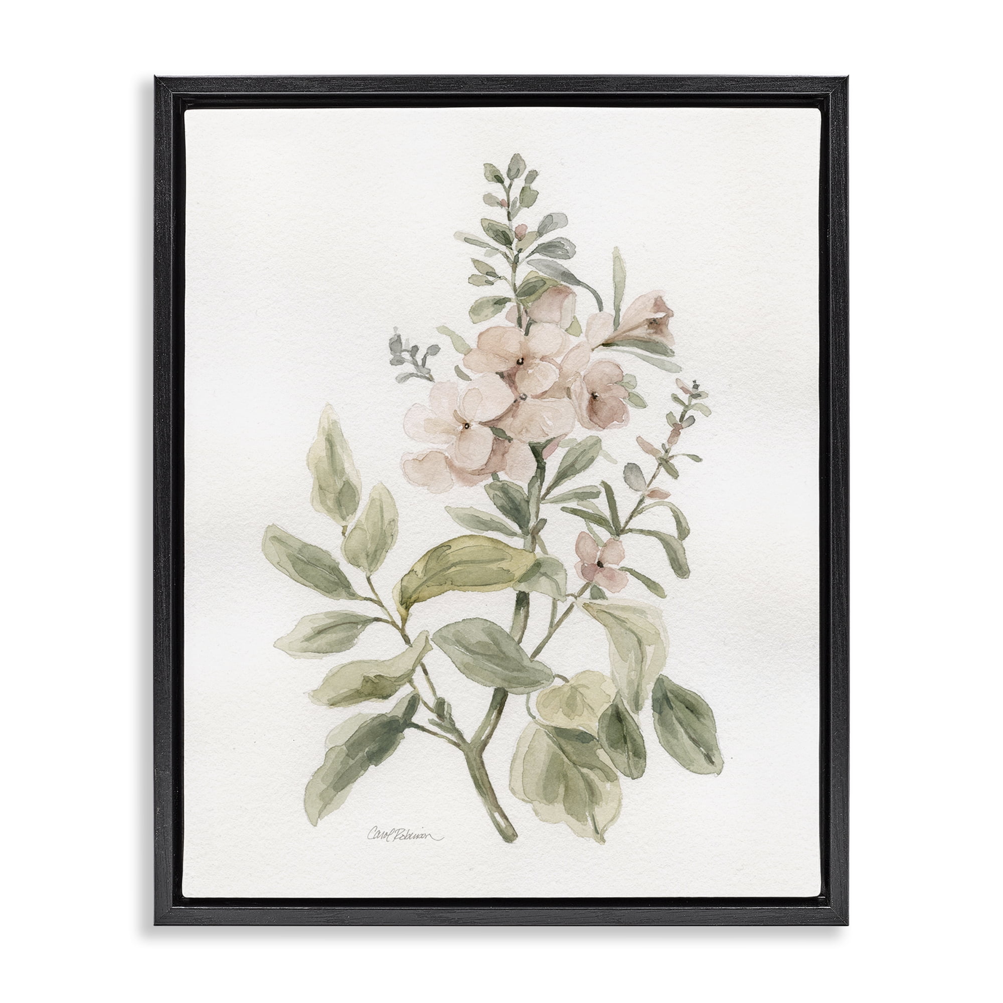 Stupell Industries Dainty Blooming Botanical Plants & Flowers Painting Black Floater Framed Canvas Art Print Wall Art, 17 x 21