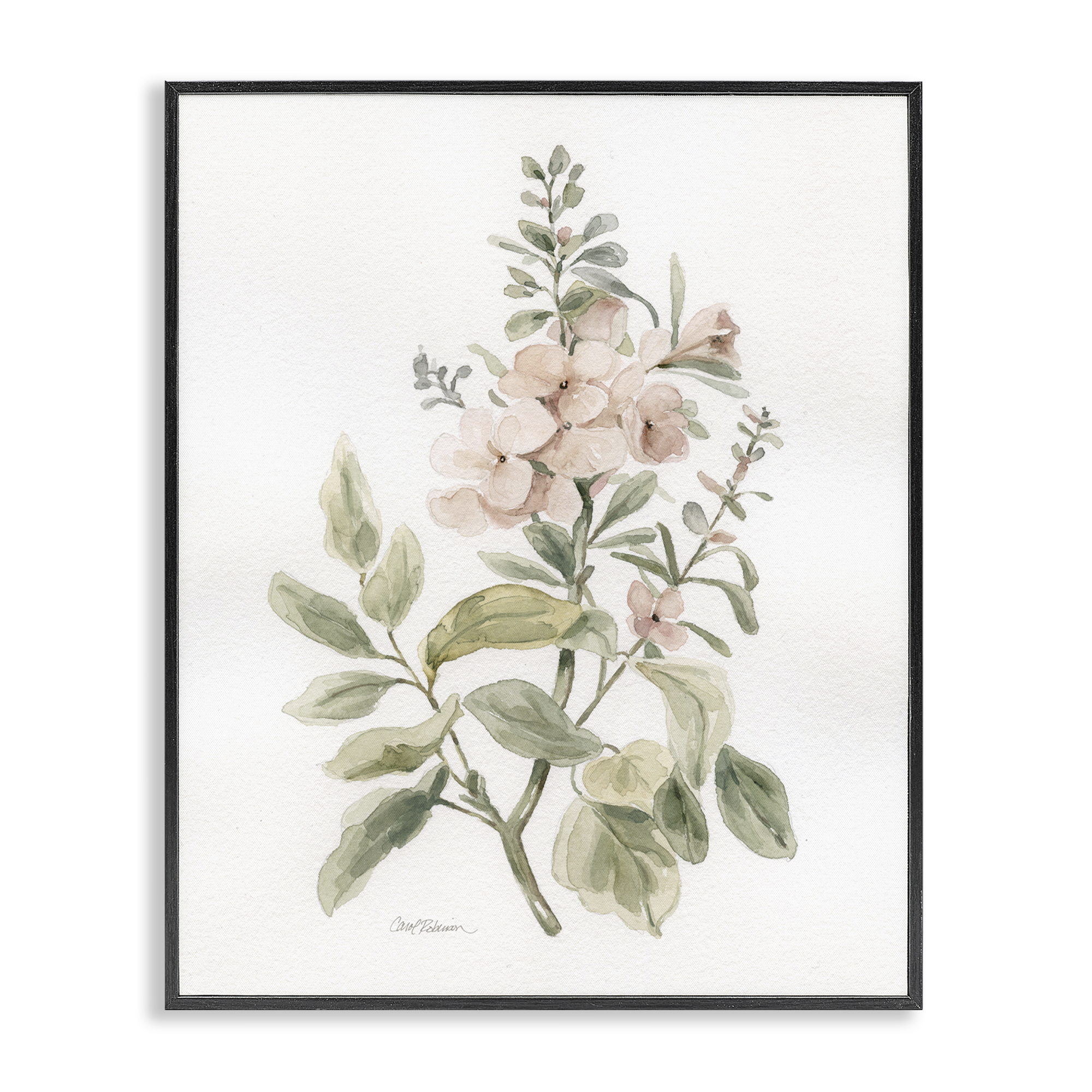 Stupell Industries Dainty Blooming Botanical Plants & Flowers Painting Black Framed Art Print Wall Art, 11 x 14