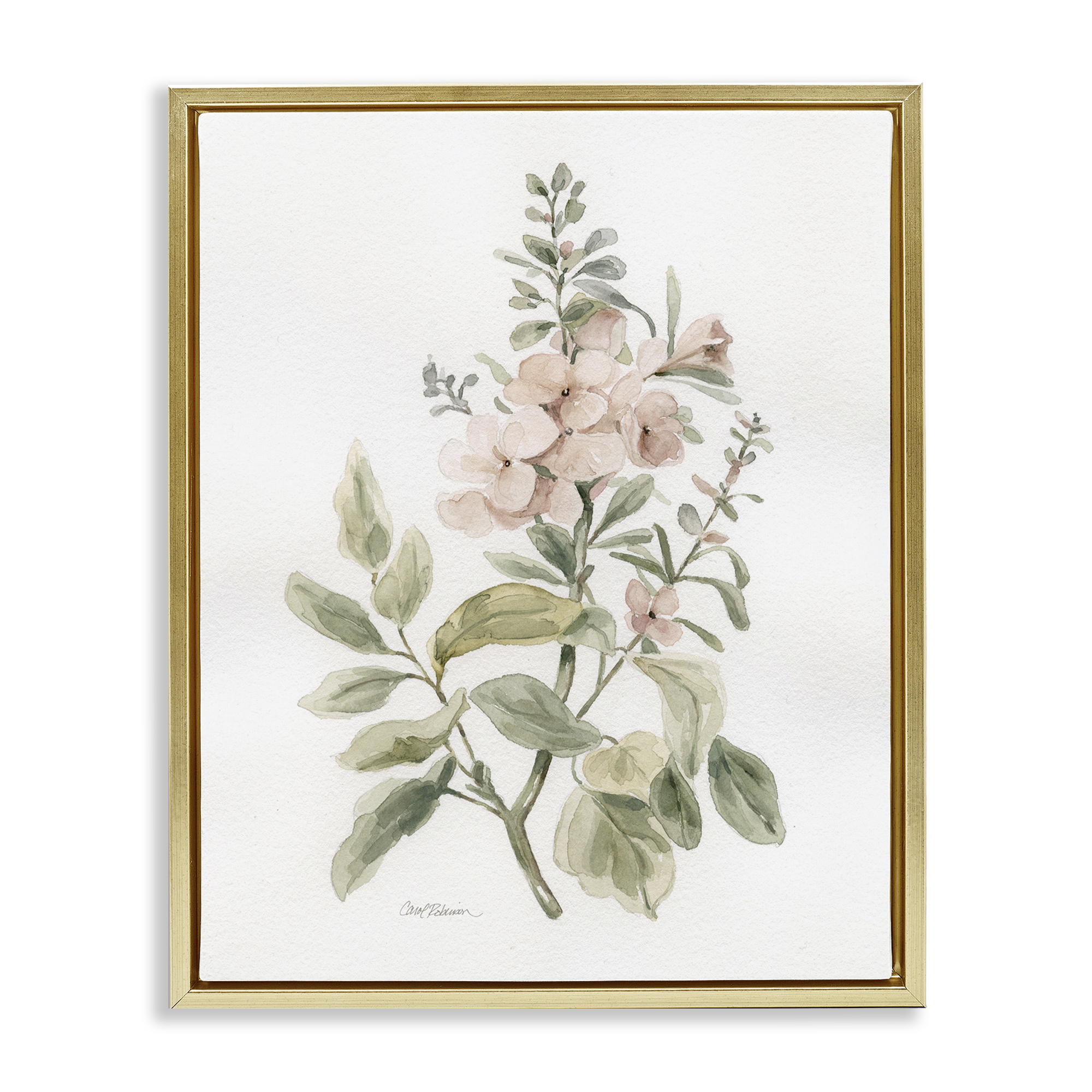 Stupell Industries Dainty Blooming Botanical Plants & Flowers Painting Gold Floater Framed Canvas Art Print Wall Art, 17 x 21