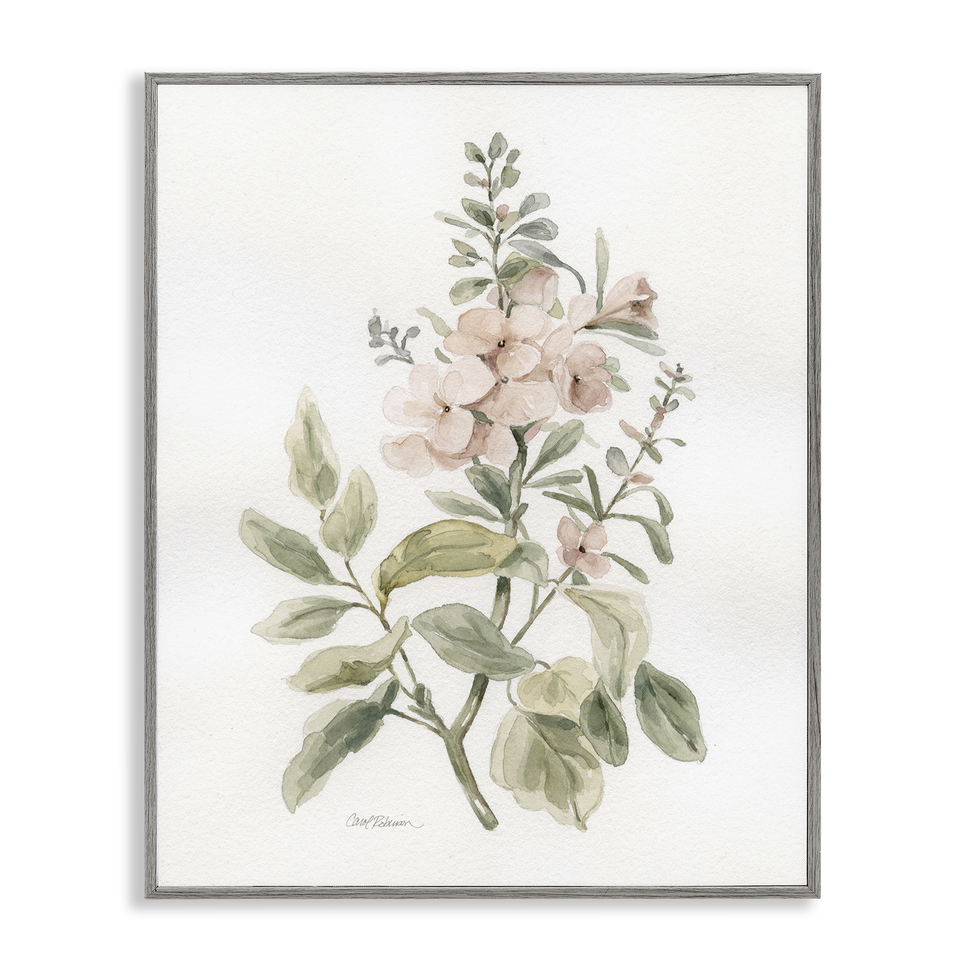 Stupell Industries Dainty Blooming Botanical Plants & Flowers Painting Gray Framed Art Print Wall Art, 11 x 14