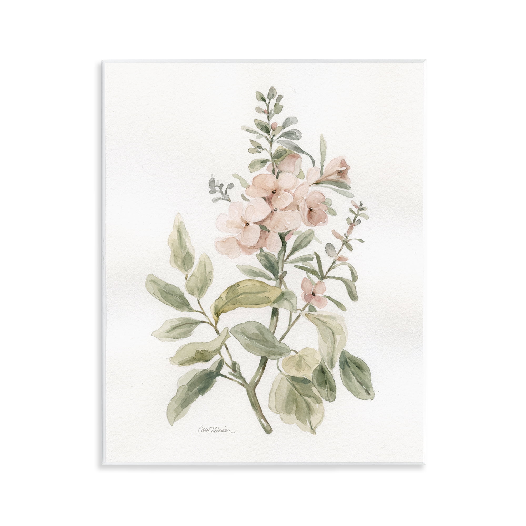 Stupell Industries Dainty Blooming Botanical Plants & Flowers Painting Unframed Art Print Wall Art, 11 x 14