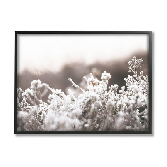 Stupell Industries Dainty Winter Blossoms Botanical Blooms Photograph Black Framed Art Print Wall Art, Design by Leah Straatsma