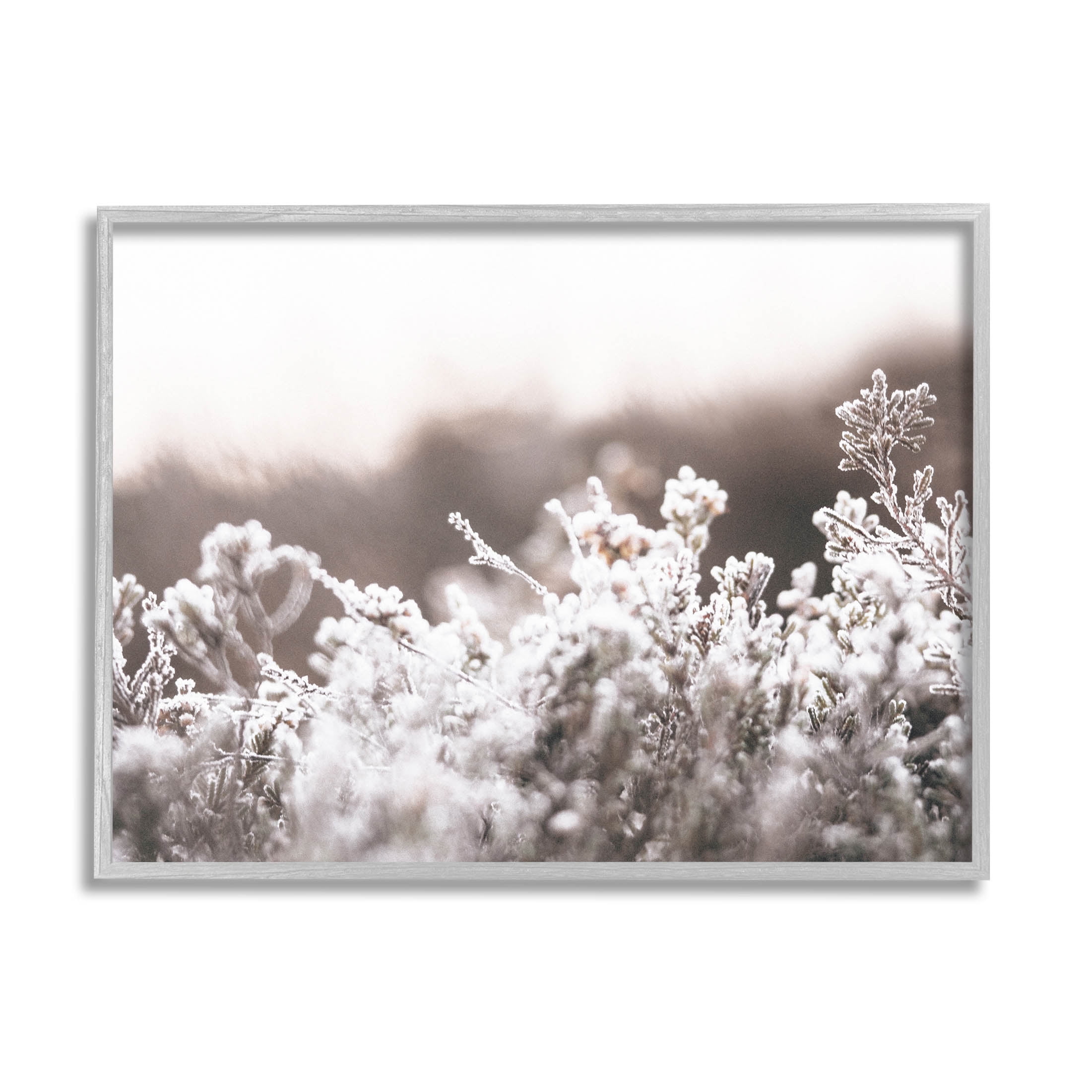 Stupell Industries Dainty Winter Blossoms Botanical Blooms Photograph Gray Framed Art Print Wall Art, Design by Leah Straatsma