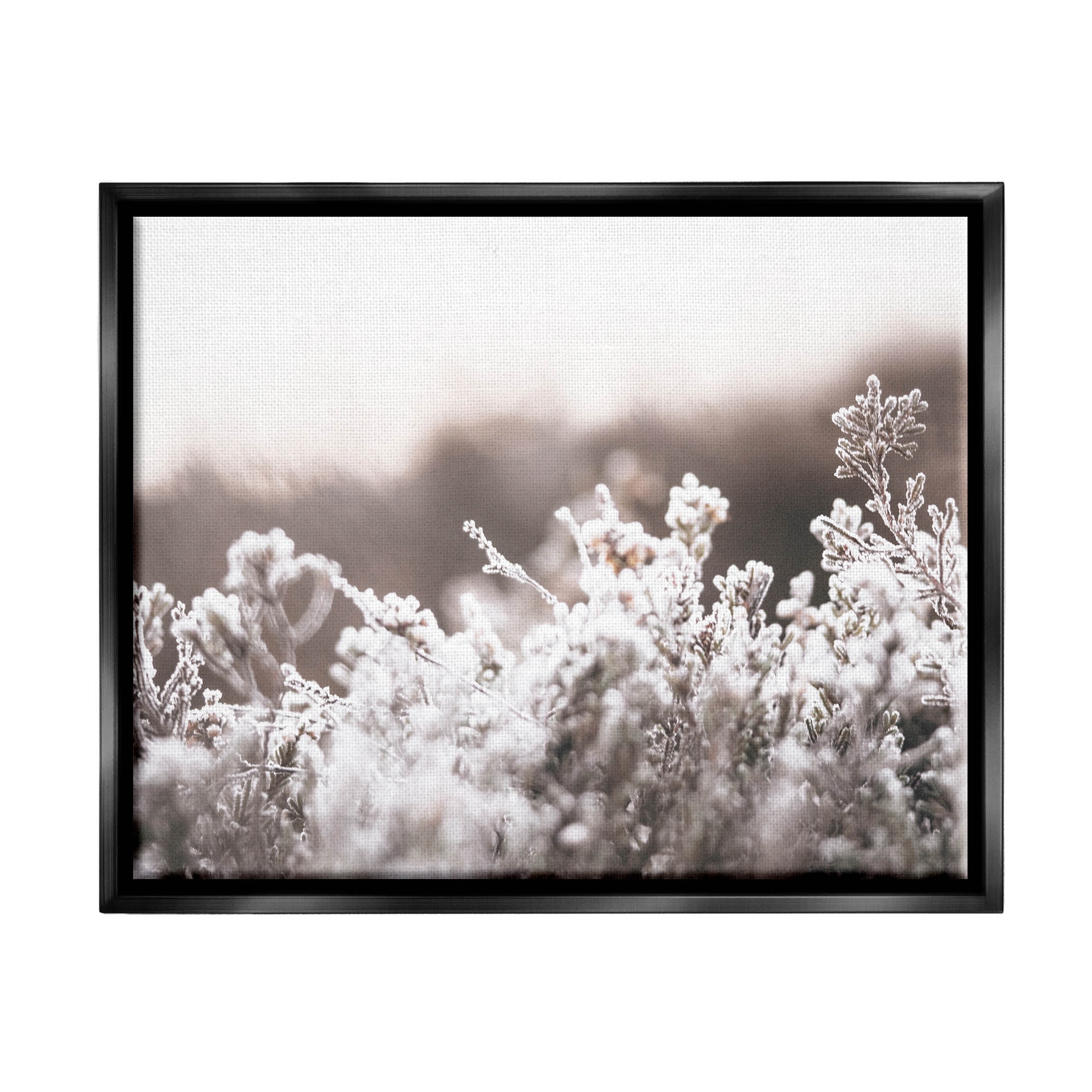 Stupell Industries Dainty Winter Blossoms Botanical Blooms Photograph Jet Black Floating Framed Canvas Print Wall Art, Design by Leah Straatsma