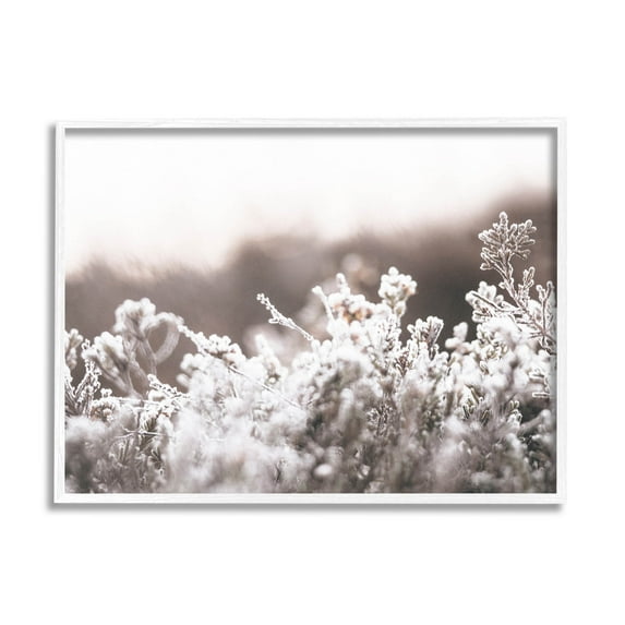 Stupell Industries Dainty Winter Blossoms Botanical Blooms Photograph White Framed Art Print Wall Art, Design by Leah Straatsma
