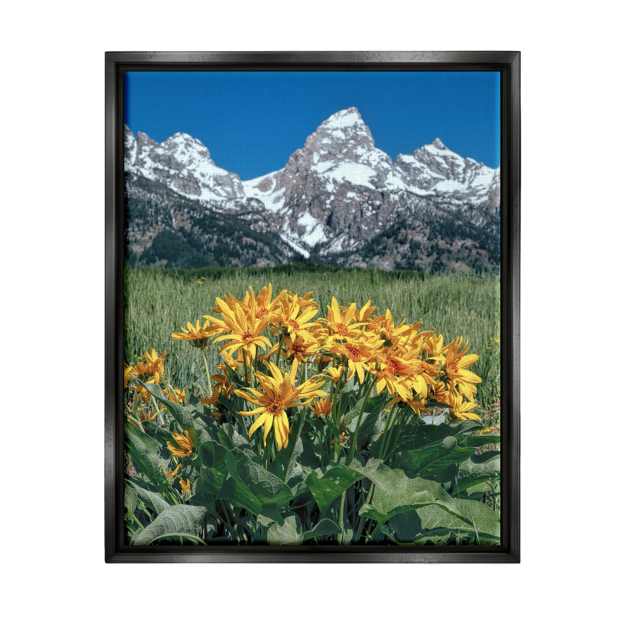 Stupell Industries Daisies & Mountain Peaks Landscape Photography Black Floater Framed Canvas Art Print Wall Art, 25 x 31
