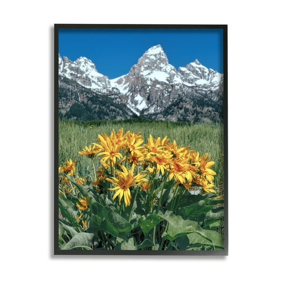 Stupell Industries Daisies & Mountain Peaks Landscape Photography Black Framed Art Print Wall Art, 11 x 14