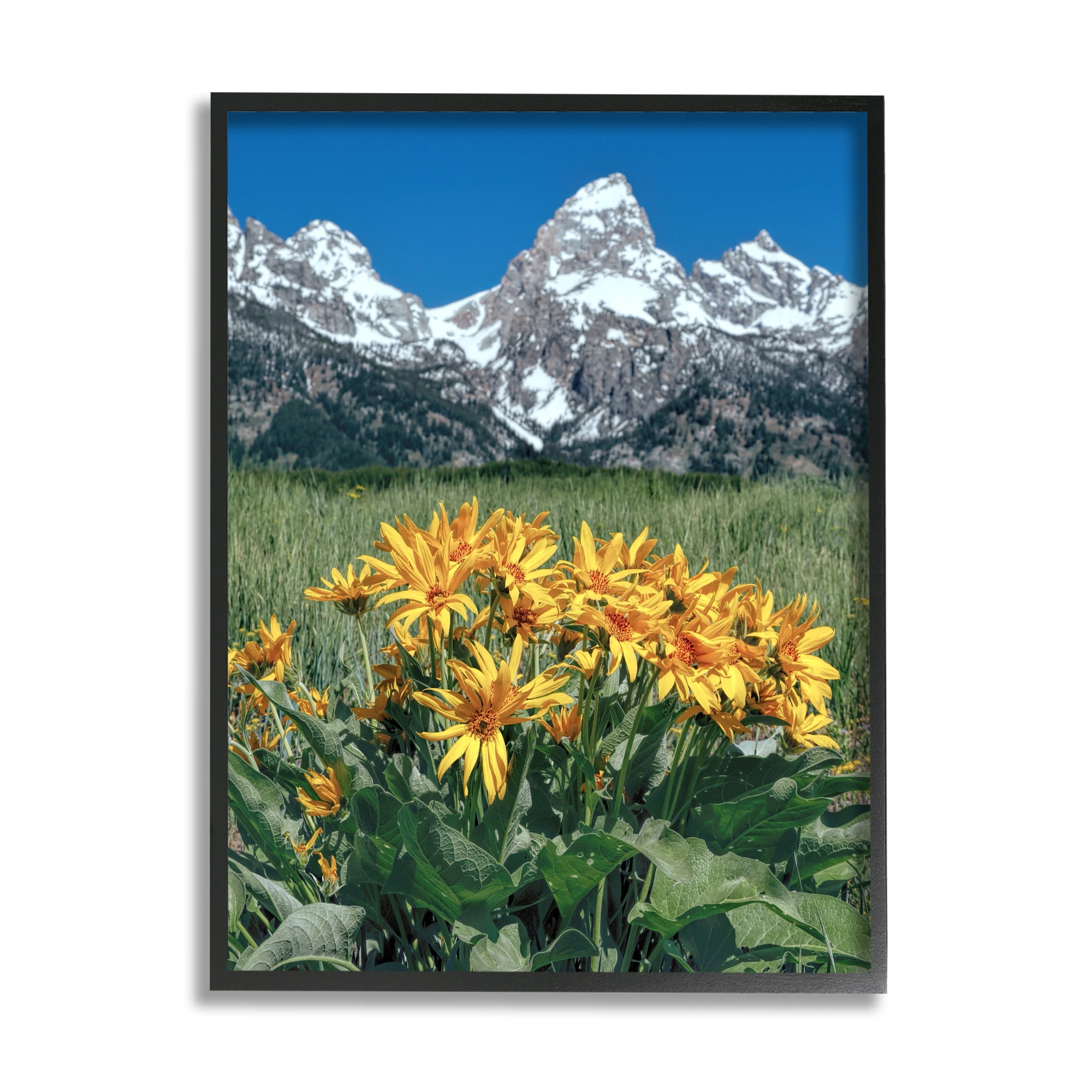 Stupell Industries Daisies & Mountain Peaks Landscape Photography Black Framed Art Print Wall Art, 24 x 30