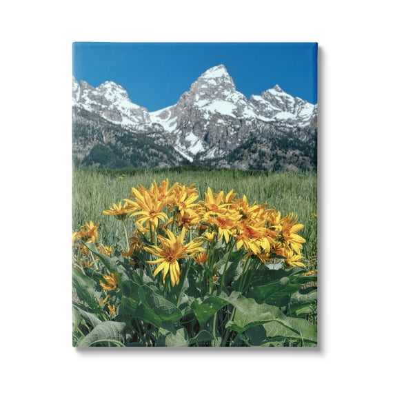 Stupell Industries Daisies & Mountain Peaks Landscape Photography Gallery Wrapped Canvas Art Print Wall Art, 16 x 20
