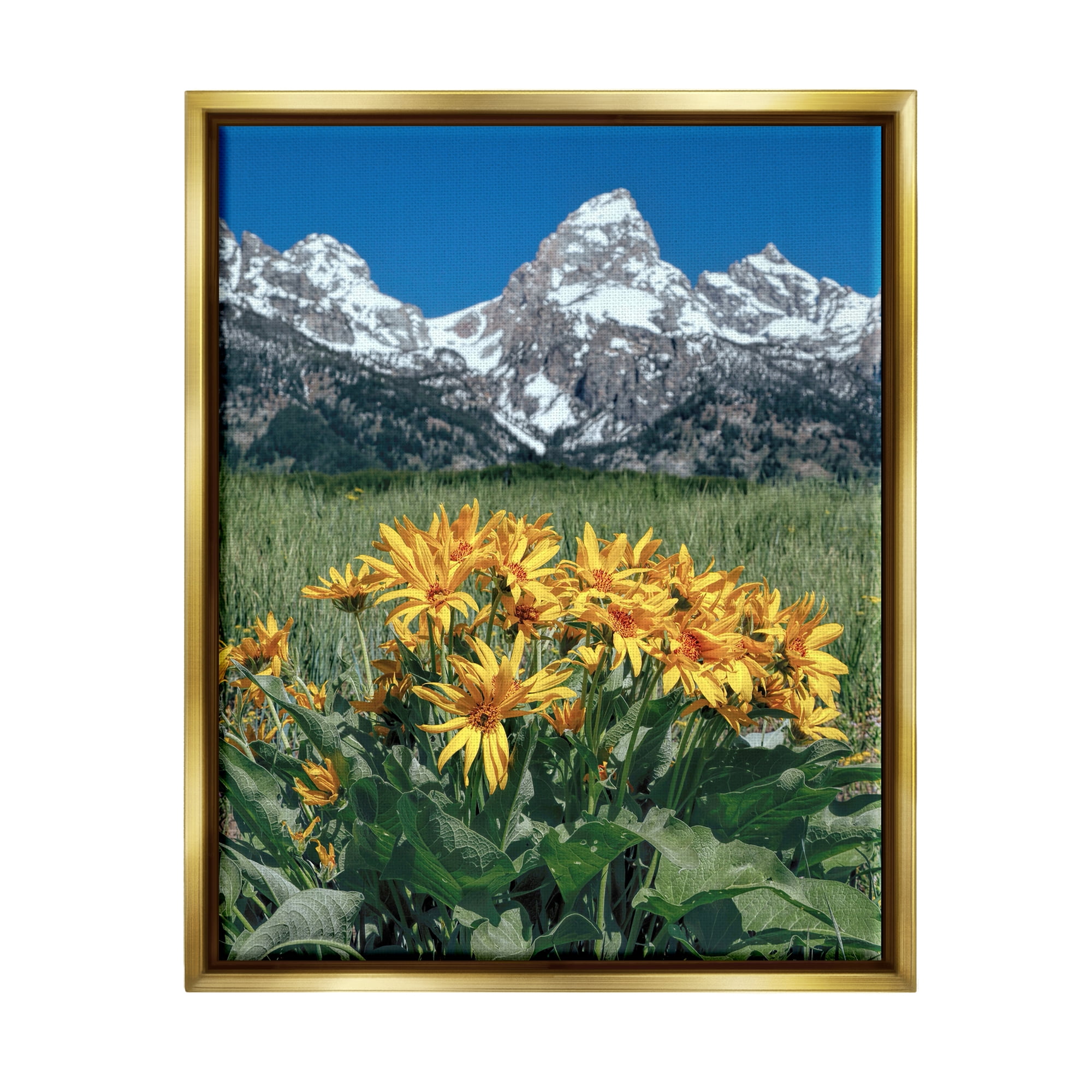 Stupell Industries Daisies & Mountain Peaks Landscape Photography Gold Floater Framed Canvas Art Print Wall Art, 25 x 31