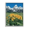 thumbnail image 1 of Stupell Industries Daisies & Mountain Peaks Landscape Photography Gray Framed Art Print Wall Art, 24 x 30, 1 of 9