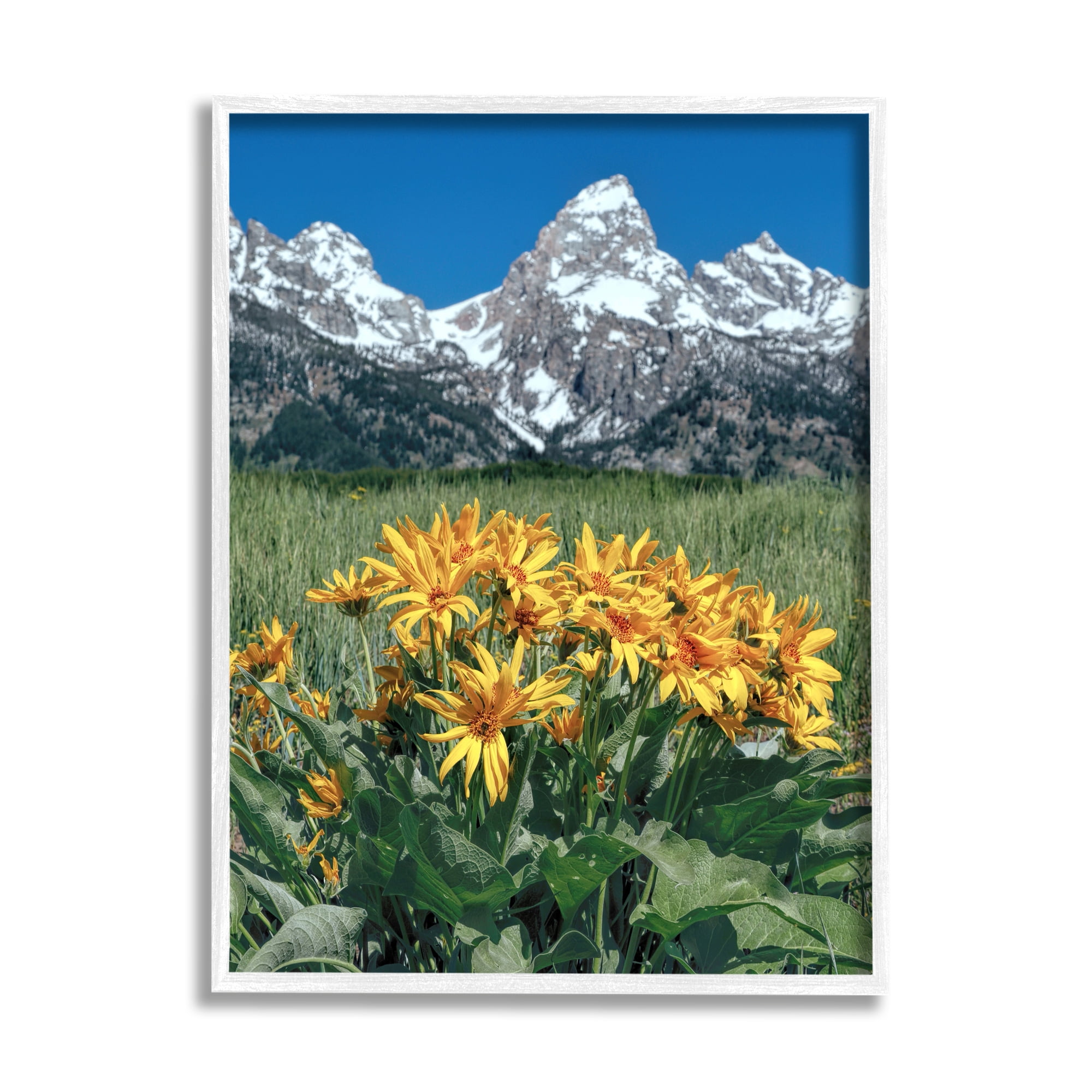 Stupell Industries Daisies & Mountain Peaks Landscape Photography White Framed Art Print Wall Art, 11 x 14