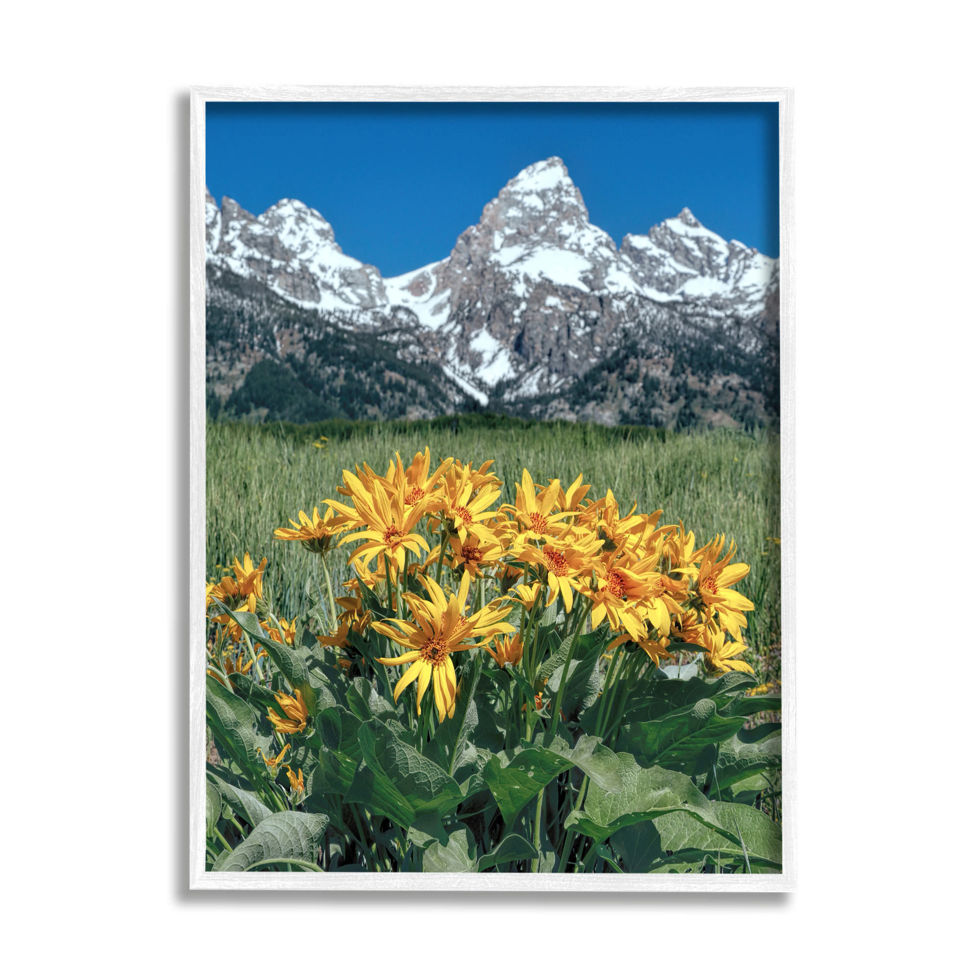 Stupell Industries Daisies & Mountain Peaks Landscape Photography White Framed Art Print Wall Art, 16 x 20