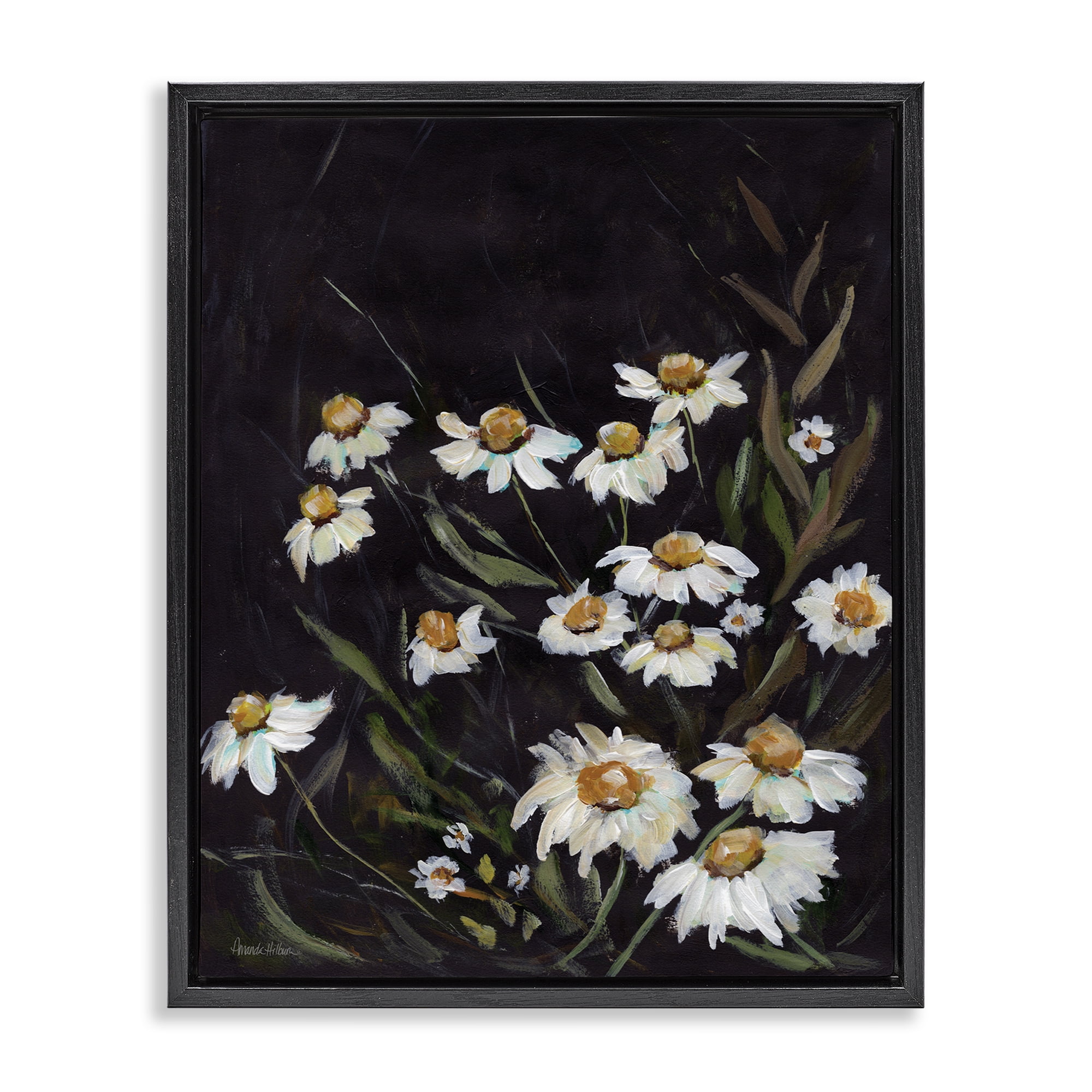 Stupell Industries Daisies on Black Botanical & Floral Painting Black Floater Framed Art Print Wall Art, 25 x 31