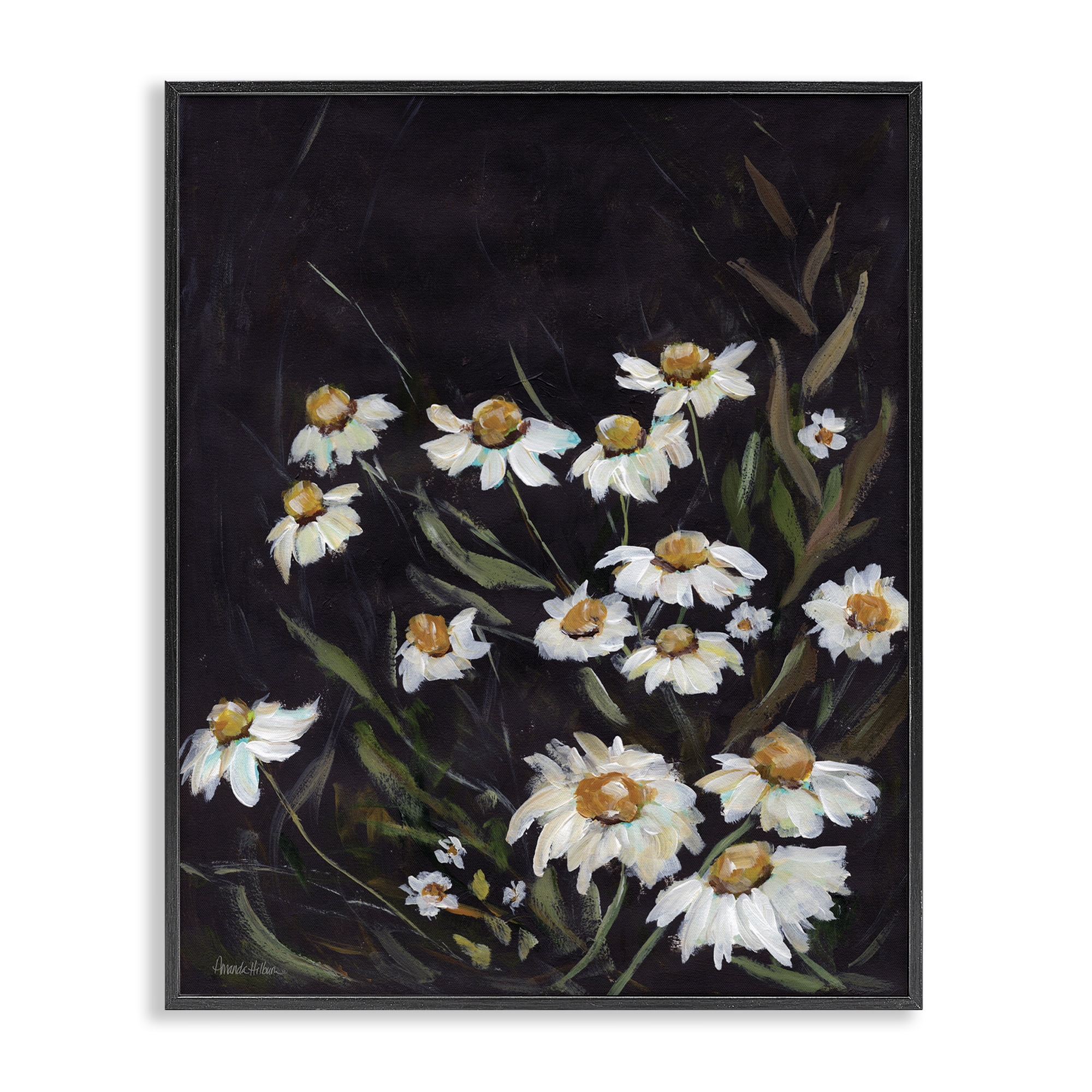 Stupell Industries Daisies on Black Botanical & Floral Painting Black Framed Art Print Wall Art, 16 x 20