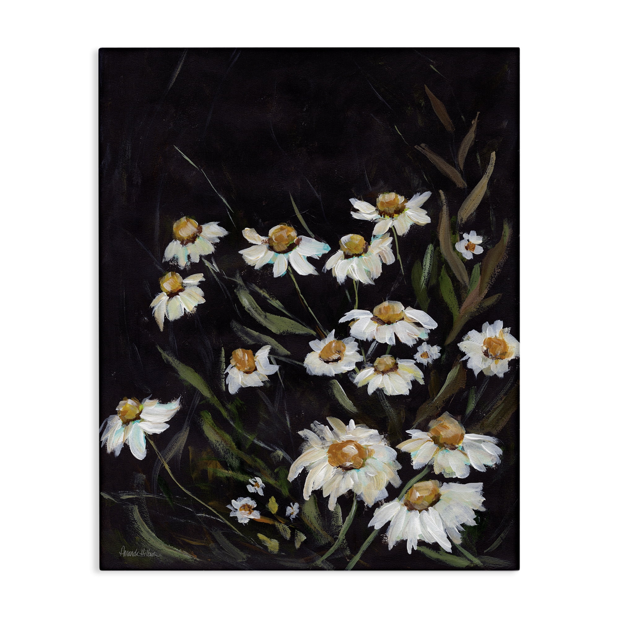 Stupell Industries Daisies on Black Botanical & Floral Painting Gallery Wrapped Canvas Art Print Wall Art, 24 x 30