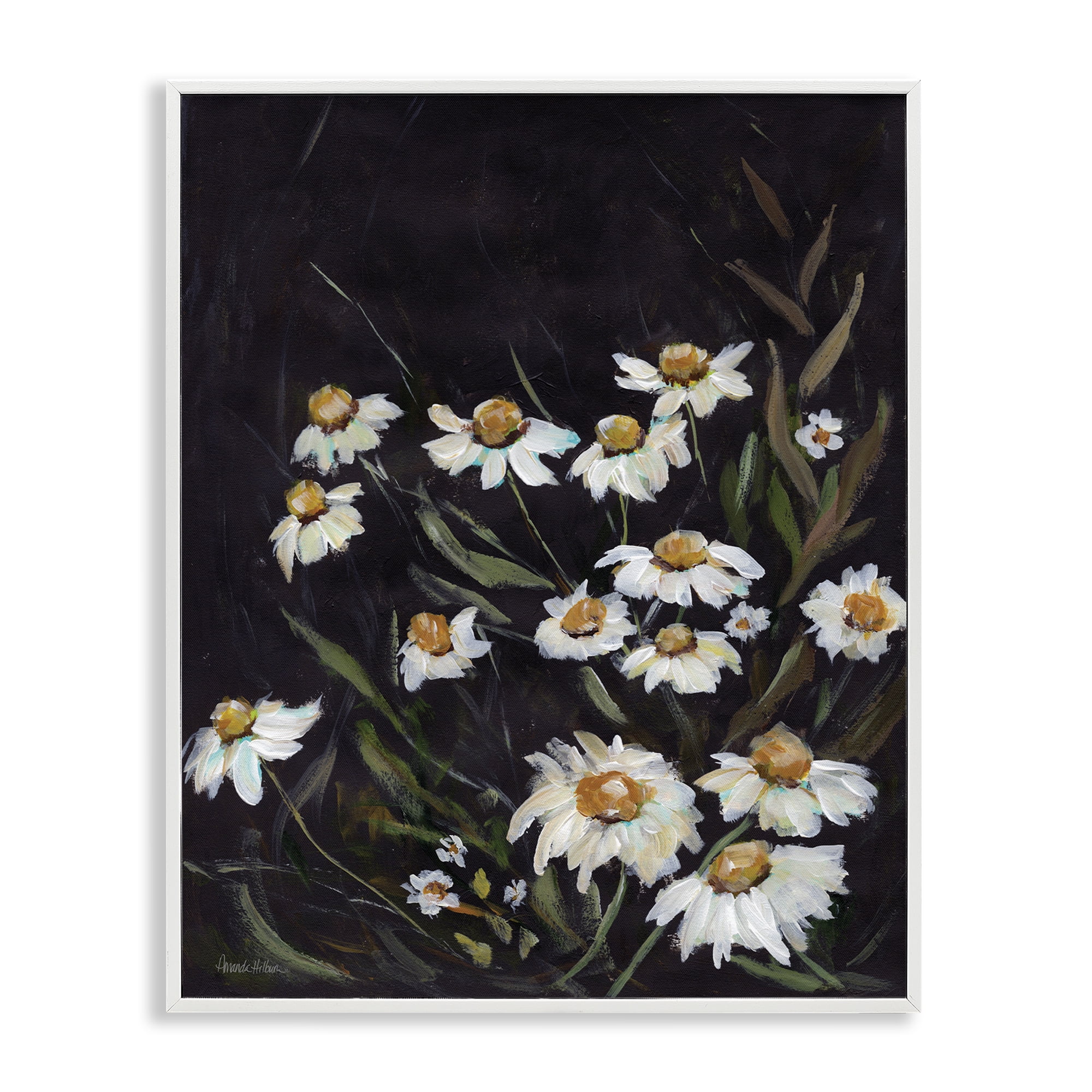Stupell Industries Daisies on Black Botanical & Floral Painting White Framed Art Print Wall Art, 16 x 20