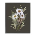 thumbnail image 1 of Stupell Industries French Country Daisy Bouquet with Swallowtail Black Framed Giclee Art, 11 x 14, by House Fenway, 1 of 8