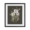 thumbnail image 1 of Stupell Industries French Country Daisy Bouquet with Swallowtail Black Framed Print Under Glass, 13 x 16, by House Fenway, 1 of 8