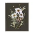 thumbnail image 1 of Stupell Industries French Country Daisy Bouquet with Swallowtail Canvas Art, 16 x 20, by House Fenway, 1 of 8