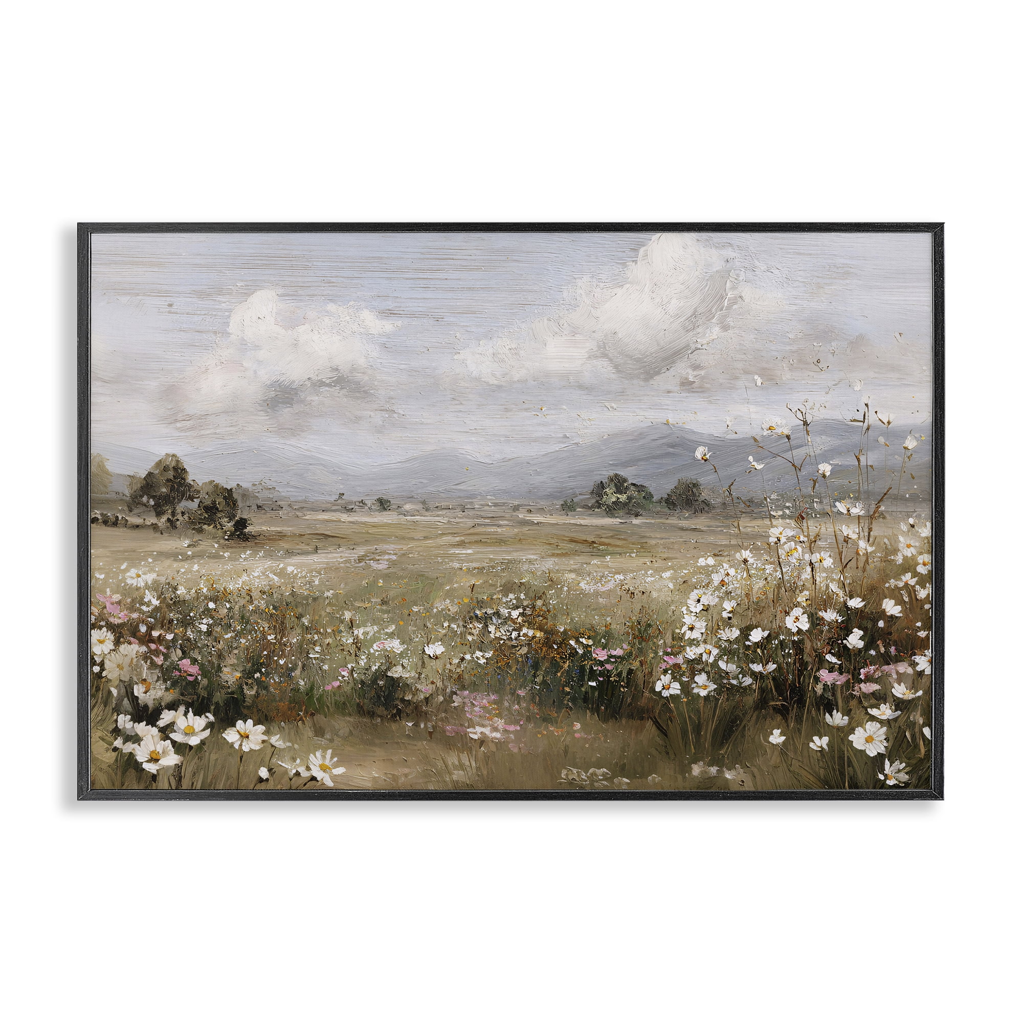 Stupell Industries Daisy Clusters in Field Black Framed Giclee Art, design by Jacky Ngan